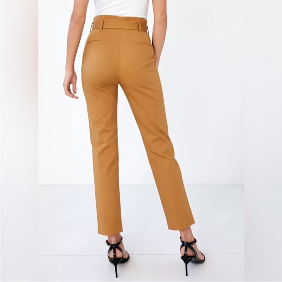 Aritzia Babaton Zayden Pant - Picture 7 of 7
